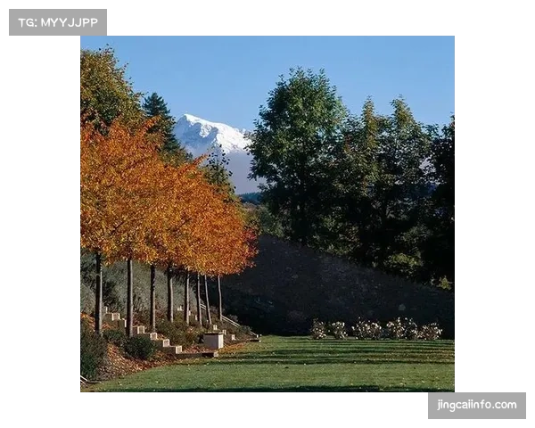 现场：大雨导致朗斯主场草坪积水，影响传球流畅性